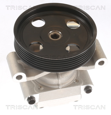 TRISCAN Hydraulikpumpe, styresystem 851516679 for FORD