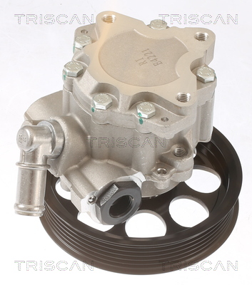 TRISCAN Hydraulikpumpe, styresystem 851565616 for SAAB