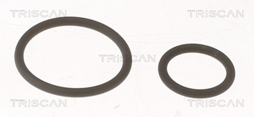 TRISCAN Pakningssæt, indsprøjtningspumpe 5961001 for CITROËN FIAT