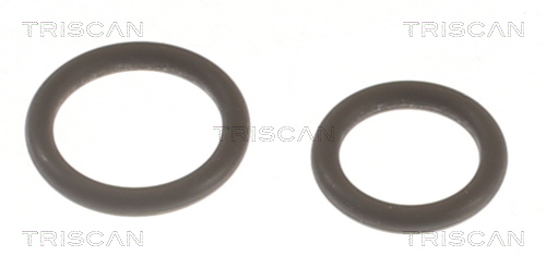 TRISCAN Pakningssæt, indsprøjtningsdyse 596-1002 for NISSAN RENAULT
