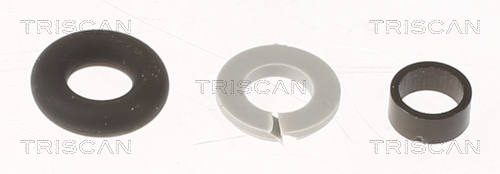 TRISCAN Pakningssæt, indsprøjtningsdyse 596-1006 for CITROËN FORD VOLVO OPEL AUDI JAGUAR PORSCHE RENAULT SEAT SKODA VW SSANGYONG LAND ROVER