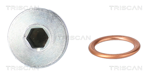 TRISCAN Skrueprop, bundkar 9500 1019 for FORD SUBARU BMW OPEL