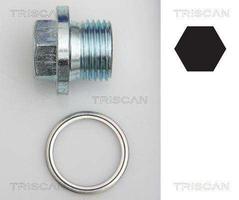 TRISCAN Skrueprop, bundkar 9500 2905 for VW