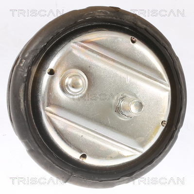 TRISCAN Motorophæng 850511101 for BMW