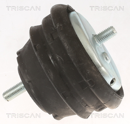 TRISCAN Motorophæng 850511112 for BMW