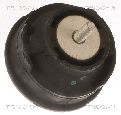 TRISCAN Motorophæng 850511100 for BMW