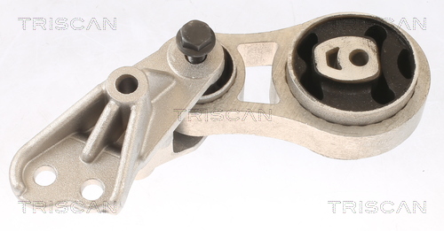 TRISCAN Motorophæng 850516117 for FORD
