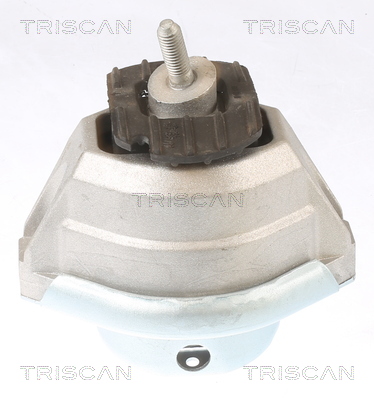 TRISCAN Motorophæng 850511114 for BMW