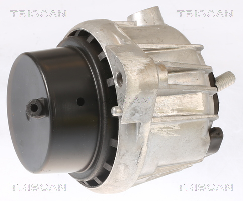 TRISCAN Motorophæng 850511110 for BMW