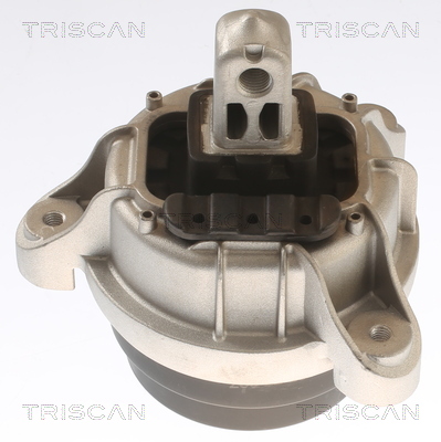 TRISCAN Motorophæng 850511117 for BMW