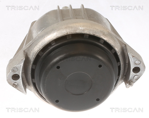 TRISCAN Motorophæng 850511107 for BMW