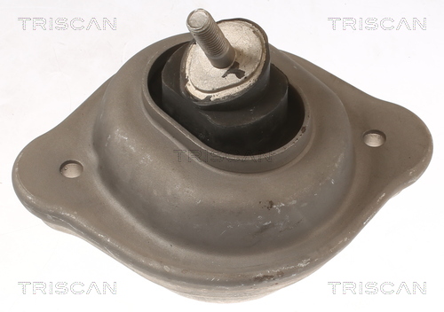 TRISCAN Motorophæng 850511119 for BMW