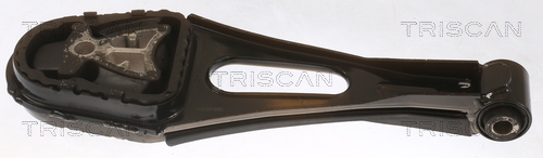 TRISCAN Motorophæng 850516114 for FORD