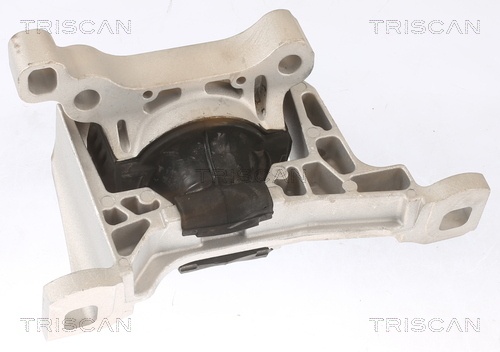 TRISCAN Motorophæng 850516111 for FORD
