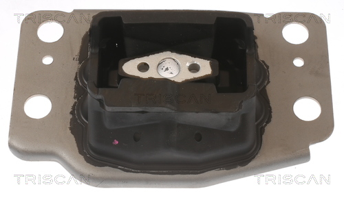 TRISCAN Motorophæng 850510137 for FORD FORD USA VOLVO