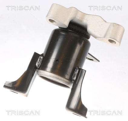 TRISCAN Motorophæng 850516108 for FORD