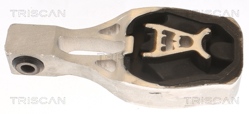 TRISCAN Motorophæng 850510130 for DS