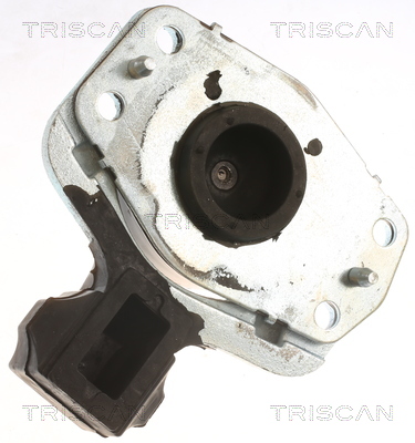 TRISCAN Motorophæng 850510118 for OPEL VAUXHALL RENAULT