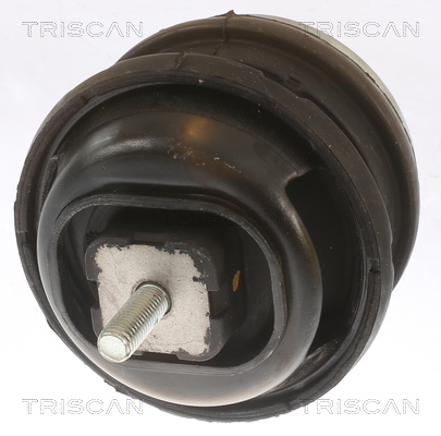 TRISCAN Motorophæng 850511113 for BMW