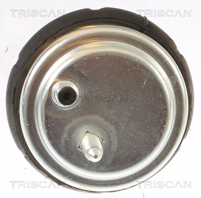 TRISCAN Motorophæng 850511102 for BMW