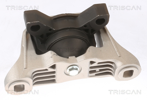 TRISCAN Motorophæng 850516101 for FORD