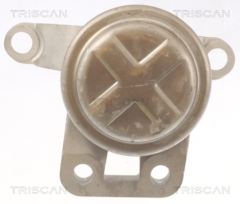 TRISCAN Motorophæng 850510108 for FORD VOLVO