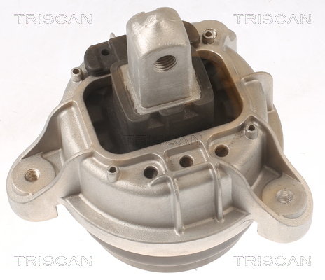 TRISCAN Motorophæng 850511116 for BMW