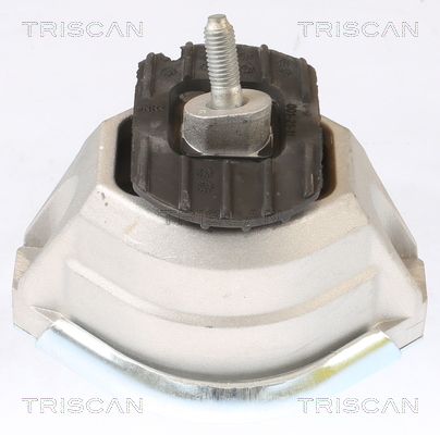 TRISCAN Motorophæng 850511115 for BMW