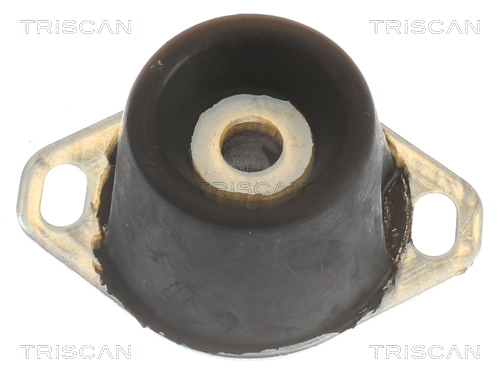 TRISCAN Motorophæng 850510122 for DS PEUGEOT