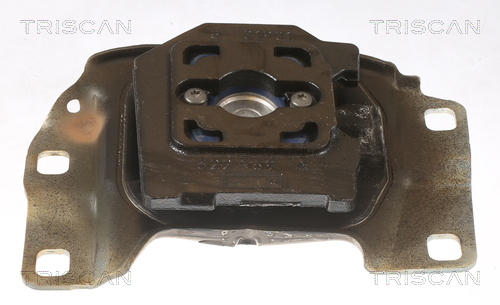 TRISCAN Motorophæng 850516109 for FORD