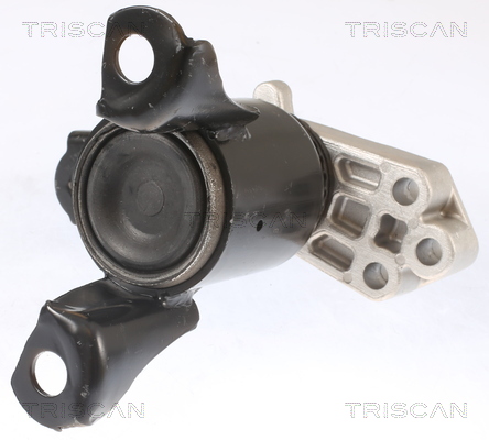 TRISCAN Motorophæng 850516102 for FORD