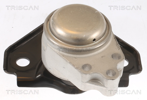 TRISCAN Motorophæng 850516119 for FORD