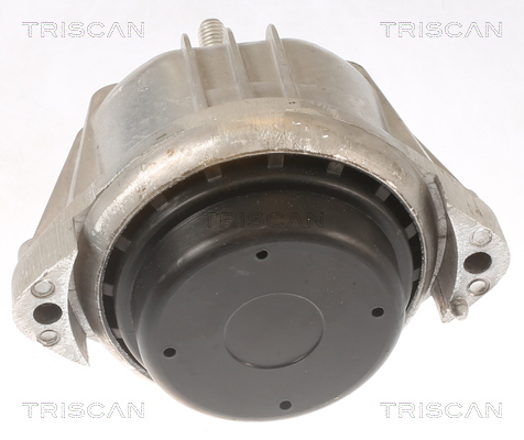 TRISCAN Motorophæng 850511106 for BMW