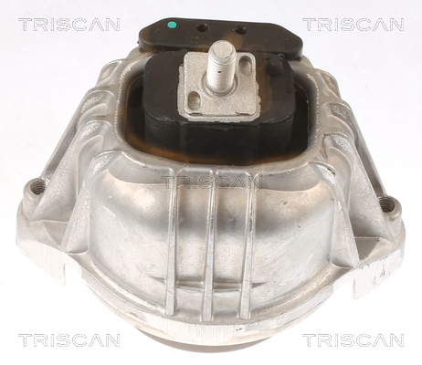 TRISCAN Motorophæng 8505 11106 for BMW