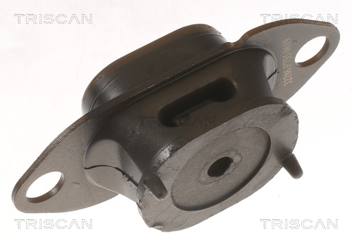 TRISCAN Motorophæng 850510125 for RENAULT SMART