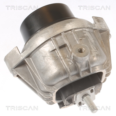 TRISCAN Motorophæng 850511111 for BMW