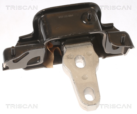 TRISCAN Motorophæng 850516107 for FORD