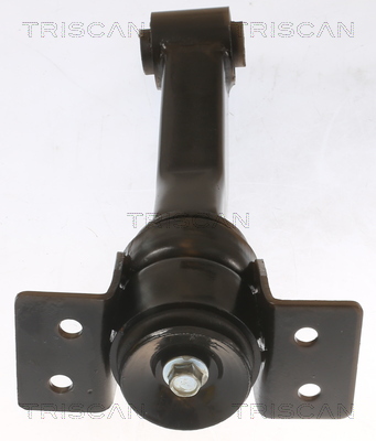 TRISCAN Motorophæng 850516100 for FORD