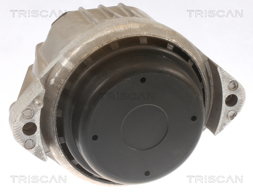 TRISCAN Motorophæng 850511105 for BMW