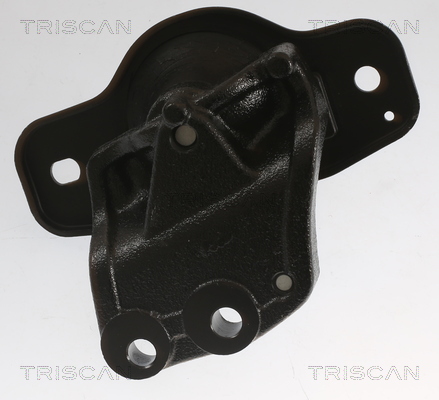 TRISCAN Motorophæng 850510128 for PEUGEOT TOYOTA