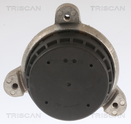 TRISCAN Motorophæng 850511118 for BMW