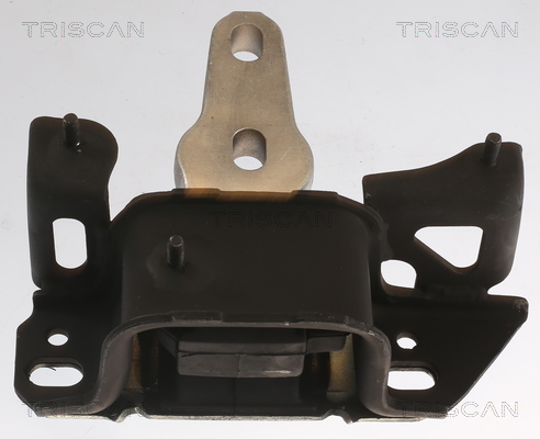 TRISCAN Motorophæng 850516112 for FORD