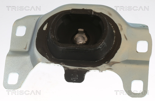 TRISCAN Motorophæng 850516115 for FORD