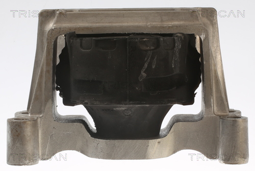 TRISCAN Motorophæng 850516121 for FORD