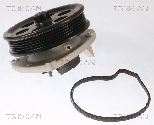 TRISCAN Vandpumpe 8600 10087 for VAUXHALL CHEVROLET