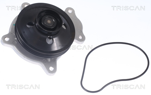 TRISCAN Vandpumpe 8600 13048 for LEXUS