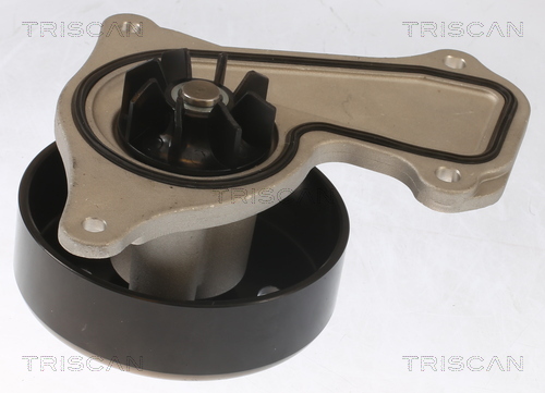 TRISCAN Vandpumpe 8600 25095 for RENAULT