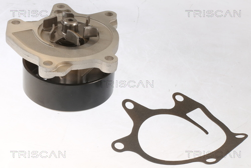 TRISCAN Vandpumpe 8600 25097 for RENAULT