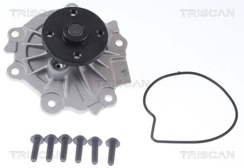 TRISCAN Vandpumpe 8600 27110 for VOLVO