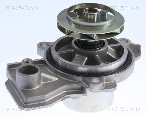 TRISCAN Vandpumpe 8600 29084 for VW